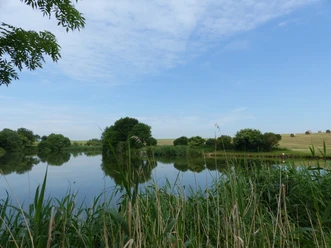See bei Pölzig