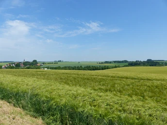 Landschaft bei Pölzig
