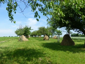 Landidylle bei Pölzig