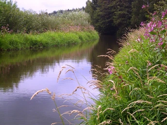 Das idyllische Flüsschen Weida