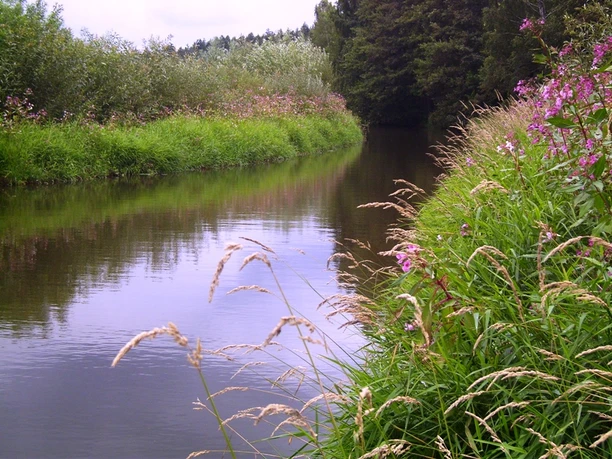 Das idyllische Flüsschen Weida