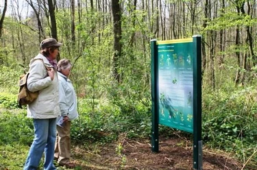 Informationstafel am Naturlehrpfad im Zwenkauer Eichholz