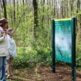 Informationstafel am Naturlehrpfad im Zwenkauer Eichholz