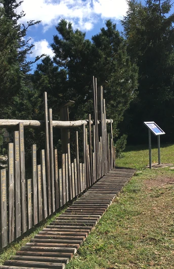 Skitagezaun Zinnwald