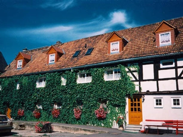 Half-timbered house with ivy, flowering plants and a park bench in front of it, under a blue sky.