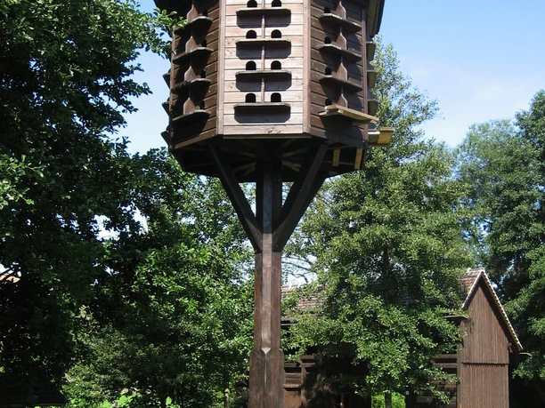 Taubenschlag