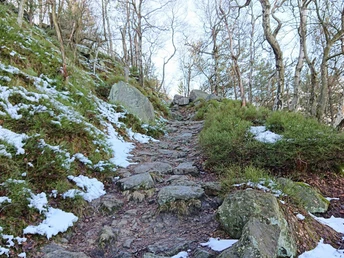 Aufstieg auf den Hohen Schneeberg