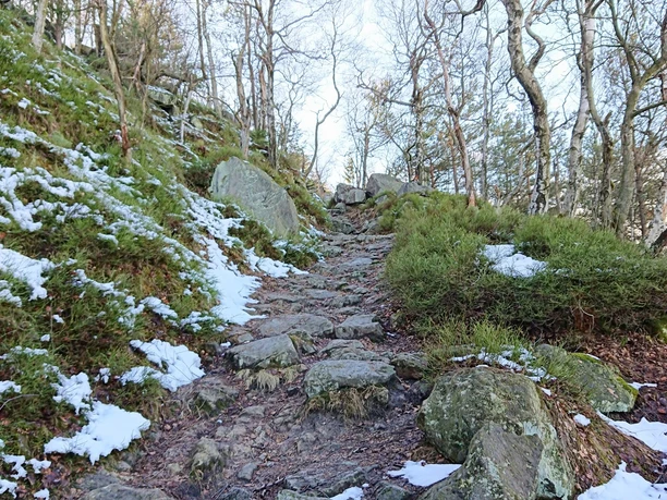 Aufstieg auf den Hohen Schneeberg