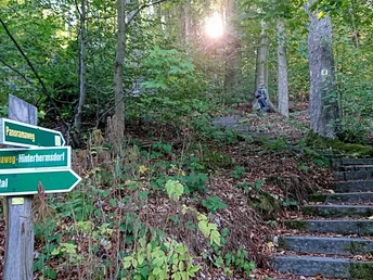 Kurzer Aufstieg zum Beizehaus über den Hinterhermsdorfer Panoramaweg Holzwegweiser führen über einen bewaldeten Pfad, die Herbstsonne scheint durch dichtes Laub.Wooden signposts lead along a wooded path, the autumn sun shining through the dense foliage.Dřevěné směrovky vedou po lesní cestě, skrz husté listí prosvítá podzimní slunce.Drewniane drogowskazy prowadzą wzdłuż zalesionej ścieżki, a jesienne słońce prześwieca przez gęste liście.Houten wegwijzers leiden langs een bebost pad, de herfstzon schijnt door het dichte gebladerte.I cartelli di legno conducono lungo un sentiero boscoso, con il sole autunnale che brilla attraverso il fitto fogliame.