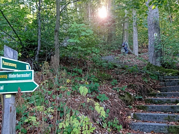 Kurzer Aufstieg zum Beizehaus über den Hinterhermsdorfer Panoramaweg Holzwegweiser führen über einen bewaldeten Pfad, die Herbstsonne scheint durch dichtes Laub.