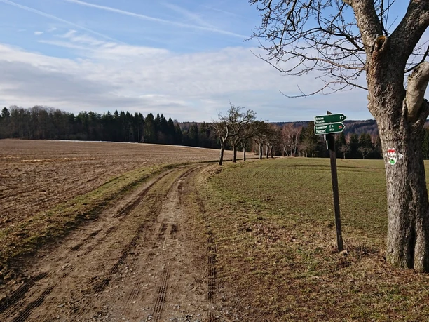 Mühlsteig - Feldweg