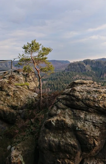 Aussicht vom Großstein