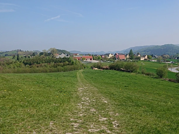 Weg vom Adamsberg nach Altendorf