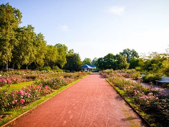 Im Rosengarten am Elberadweg