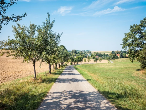 Alte Kleinbahnwege
