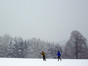 Langläufer auf der Drei-Steine-Route