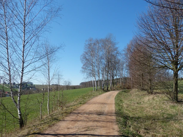 Weg in Richtung Tännichtgrund