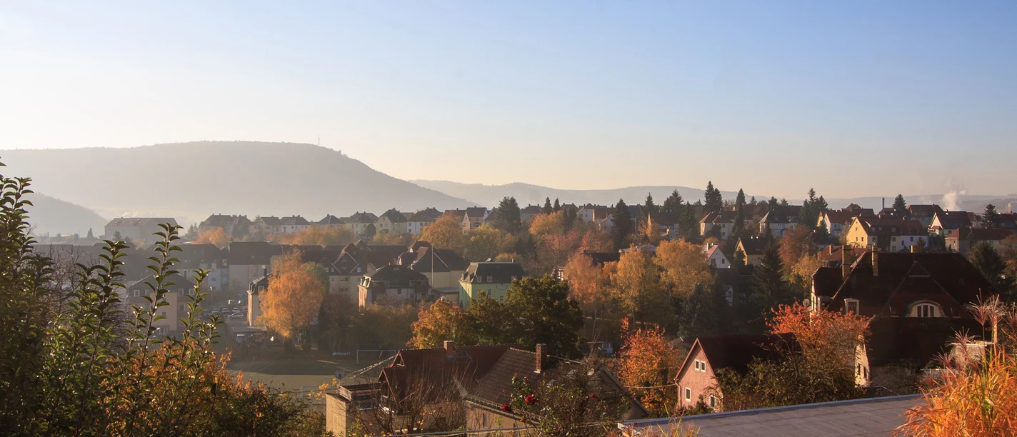 Morgennebel Stadt Freital