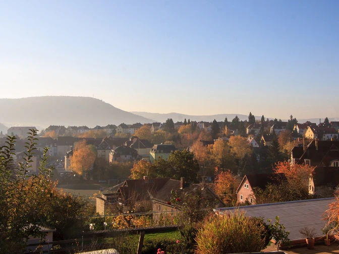 Morgennebel Stadt Freital
