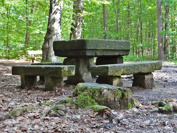Steinerner Tisch im Poisenwald