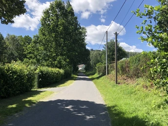 Weg beim Waldbad Polenz