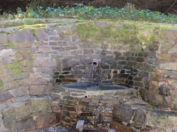 Spring fountain made of natural stone, surrounded by forest, with moss-covered stones.