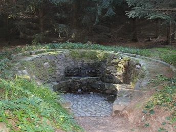 image Steinbrunnen im Wald, von Moos umgeben, mit plätscherndem Wasser auf Kopfsteinpflaster.Stone fountain in the forest, surrounded by moss, with splashing water on cobblestones.Kamenná studánka v lese, obklopená mechem, se stříkající vodou na dlažebních kostkách.Kamienna fontanna w lesie, otoczona mchem, z rozpryskującą się wodą na bruku.Stenen fontein in het bos, omgeven door mos, met klaterend water op kinderkopjes.Fontana di pietra nel bosco, circondata da muschio, con spruzzi d'acqua su ciottoli.