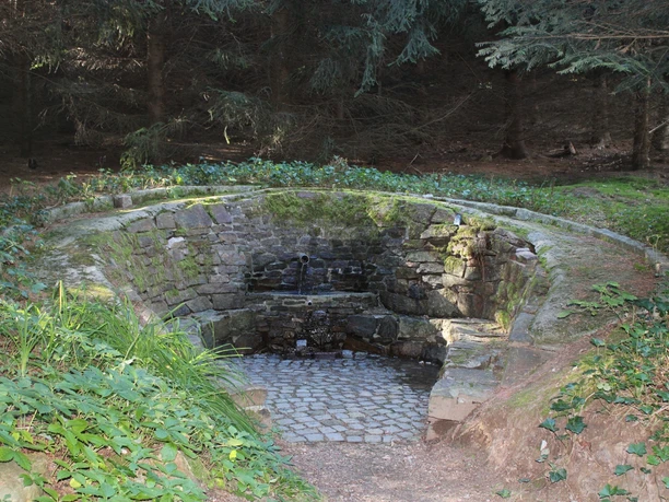 image Steinbrunnen im Wald, von Moos umgeben, mit plätscherndem Wasser auf Kopfsteinpflaster.