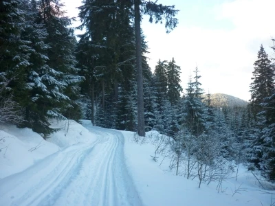 Loipe Amselpfad bei Wildenthal