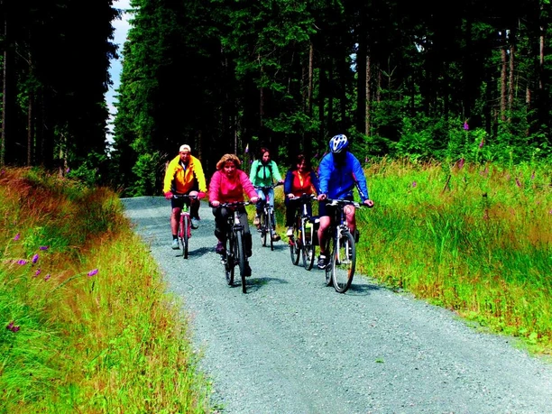 image Sechs Radfahrer auf einem Schotterweg durch einen dichten, grünen Wald.