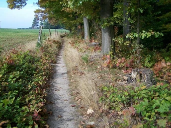 Brückenwaldweg