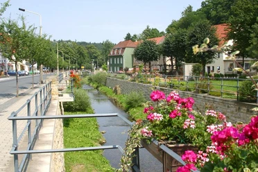 Zicht op een smalle rivier, omzoomd met bloemen en gebouwen in een groen, stedelijk park.