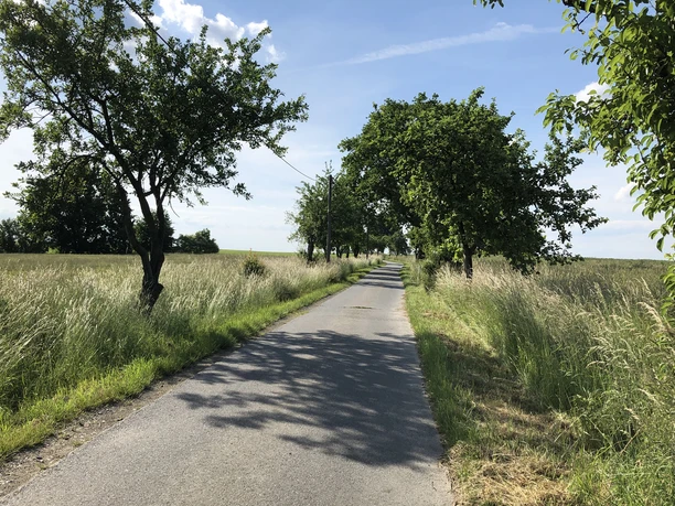 Vom Abzweig Cunnersdorf nach Stolpen