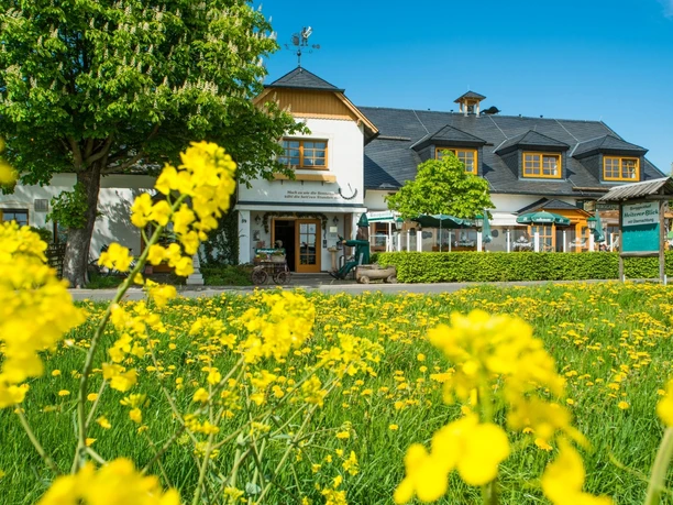 Berggasthof Heiterer Blick bei Markneukirchen