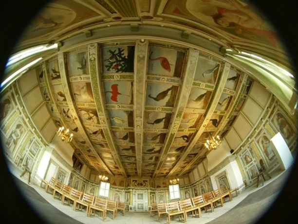 Festsaal im Weinbaumuseum Hoflößnitz