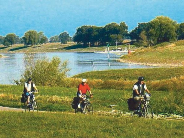 An der Elbe in Belgern Radfahrer auf einem Pfad entlang der Elbe bei Belgern, umgeben von grüner Landschaft und Fluss.