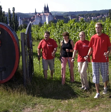 Nordic Walking entlang der Weinstrecke in Meißen