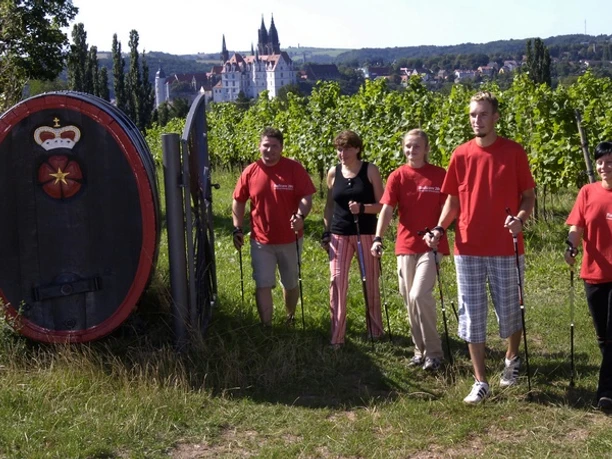 Nordic Walking entlang der Weinstrecke in Meißen Eine Gruppe von Menschen beim Nordic Walking entlang eines Weinbergs mit Schloss im Hintergrund.