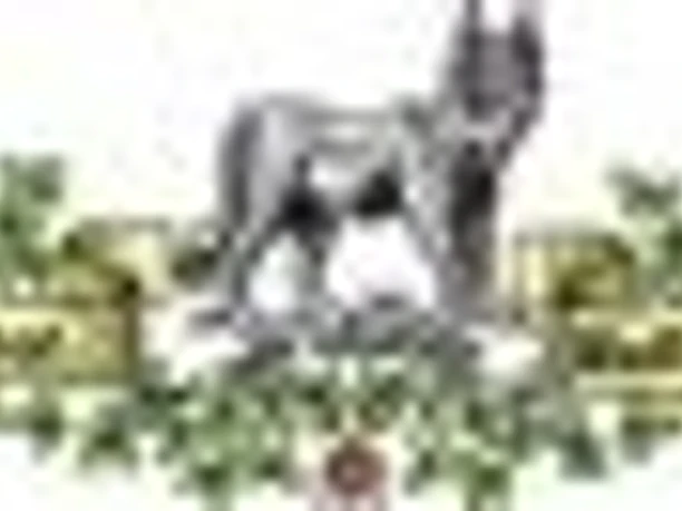 image Logo einer Biermarke mit einem Wolf und hopfenumranktem Schriftzug.