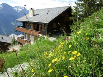 Amethyst Nord Ost Seite Sommer