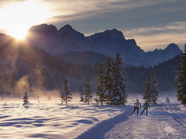 Langlaufen auf der Barmseeloipe in Krün