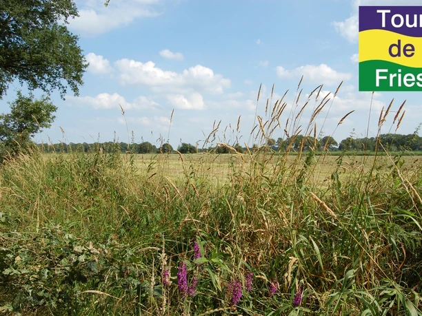 Felder bei Wittmund