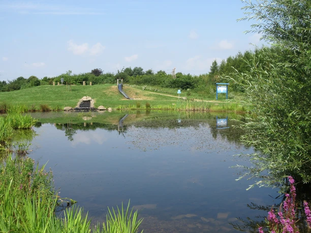 Wassarium Drakenburg Teichlandschaft im Wassarium Drakenburg mit Wiese, Spielgeräten, Schilf, einem Infostand und Bäumen.