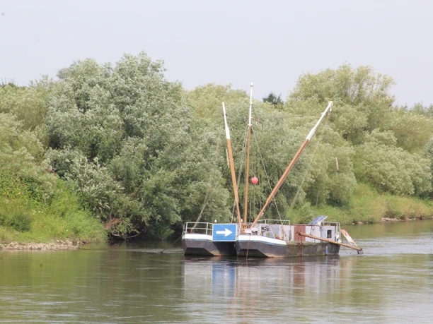 Drakenburg Aalschokker Ein traditioneller Aalschokker schwimmt auf einem ruhigen Fluss, umgeben von üppigem Grün der Ufer.