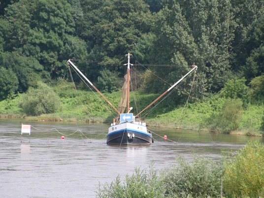 Aalschokker Drakenburg Ein traditionelles Fischerboot mit Netzen auf der Weser, umgeben von grüner Flusslandschaft.A traditional fishing boat with nets on the Weser, surrounded by a green river landscape.En traditionel fiskerbåd med net på Weser, omgivet af et grønt flodlandskab.Een traditionele vissersboot met netten op de Weser, omringd door een groen rivierlandschap.