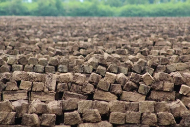 Lichtenmoor Torfabbau Ein weitläufiges Feld mit gestapelten Torfsoden erstreckt sich bis zum Horizont in einer grünen Landschaft.