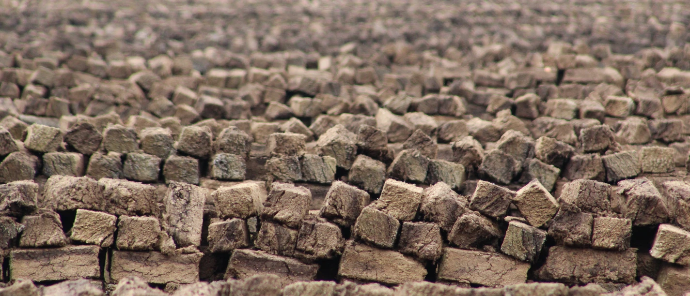Lichtenmoor Torfabbau Ein weitläufiges Feld mit gestapelten Torfsoden erstreckt sich bis zum Horizont in einer grünen Landschaft.
