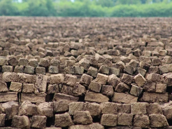Lichtenmoor Torfabbau Ein weitläufiges Feld mit gestapelten Torfsoden erstreckt sich bis zum Horizont in einer grünen Landschaft.