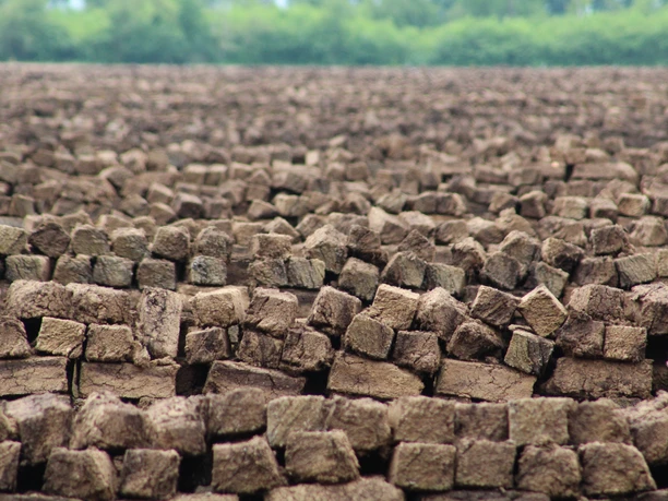 Lichtenmoor Torfabbau Ein weitläufiges Feld mit gestapelten Torfsoden erstreckt sich bis zum Horizont in einer grünen Landschaft.