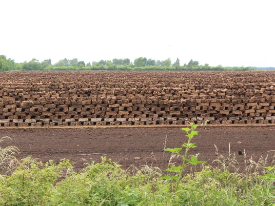 Lichtenmoor Torfstapel in einem ausgedehnten und flachen Landschaftsbereich, umgeben von Vegetation und bewölktem Himmel.